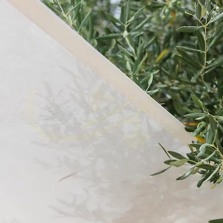 بيت للعطل Td Trulli Balice Cozy Trulli With Pool *