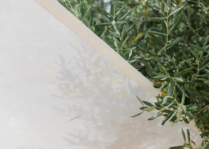 펜션 Td Trulli Balice Cozy Trulli With Pool *